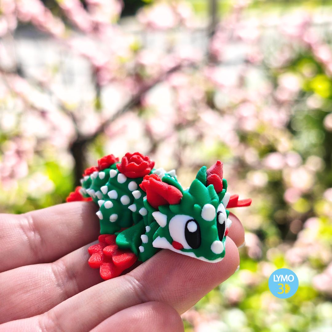Dragon Sant Jordi
