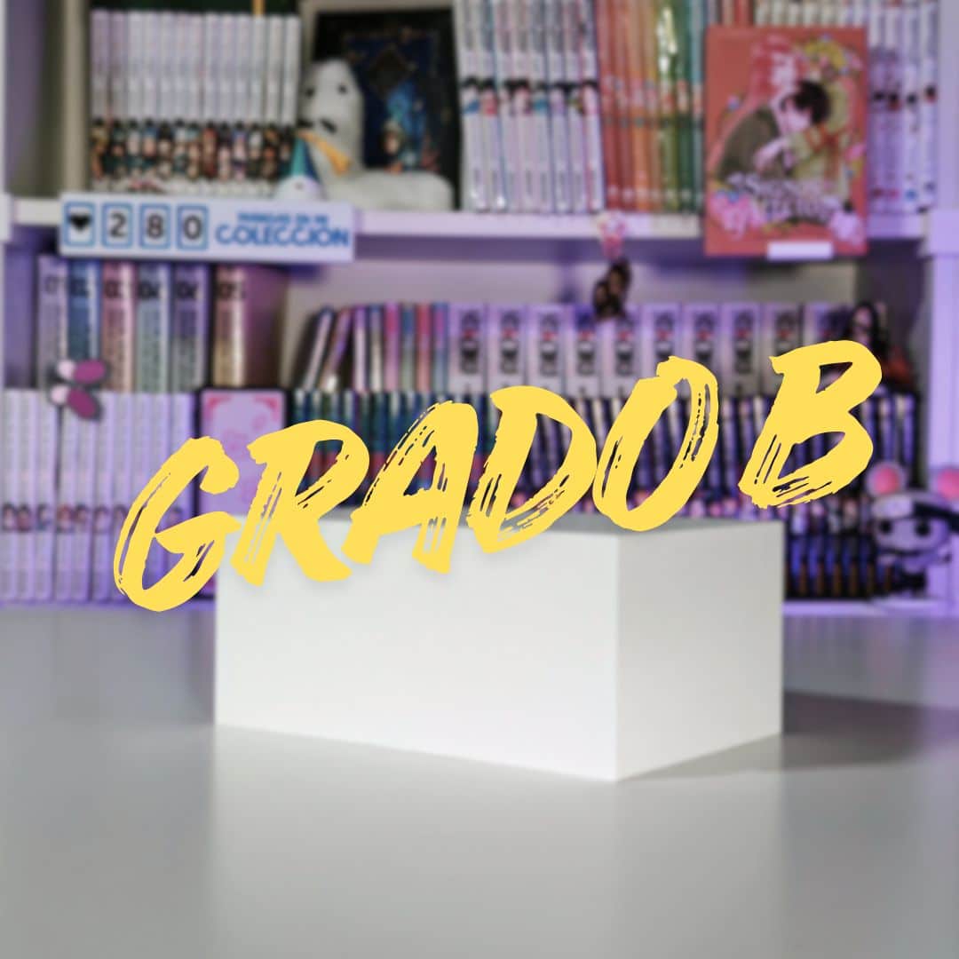 Grado B: Soporte simple para mangas