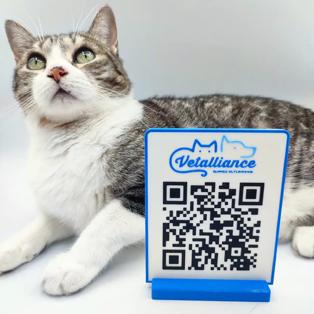 qr personalizado vetaliance