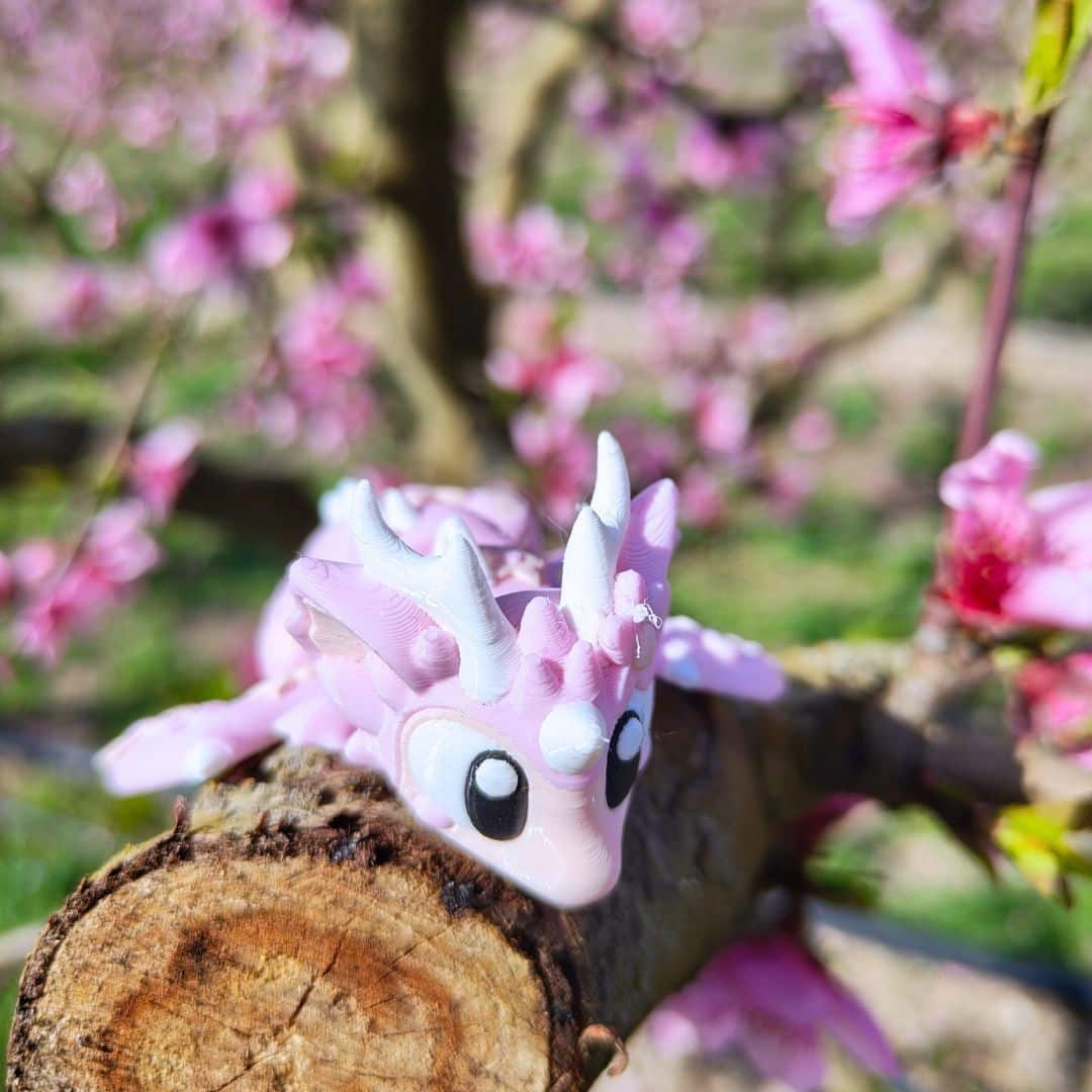 Charming pink sakura dragon