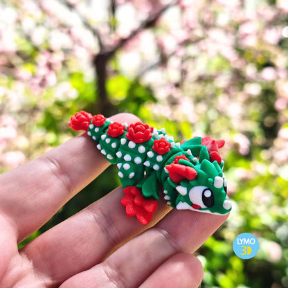 Dragon Sant Jordi
