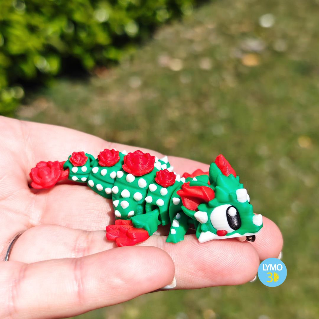 Dragon Sant Jordi