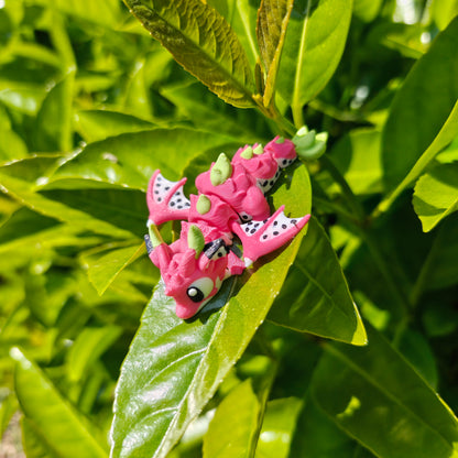 Charming tropical fruit dragon