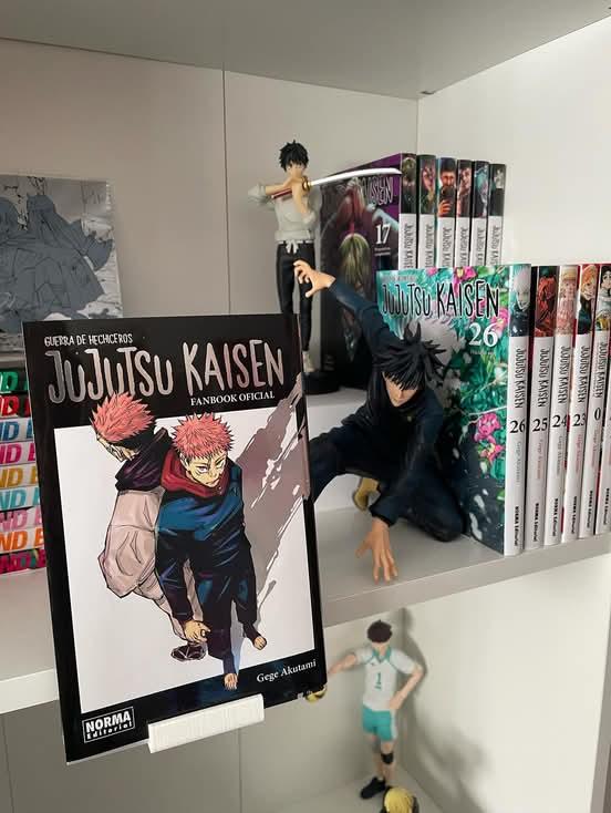 Expositor Frontal Mangas (Ideal para Gersby)