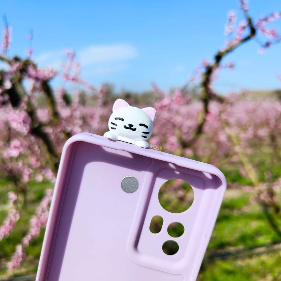 Hipper White Kitten