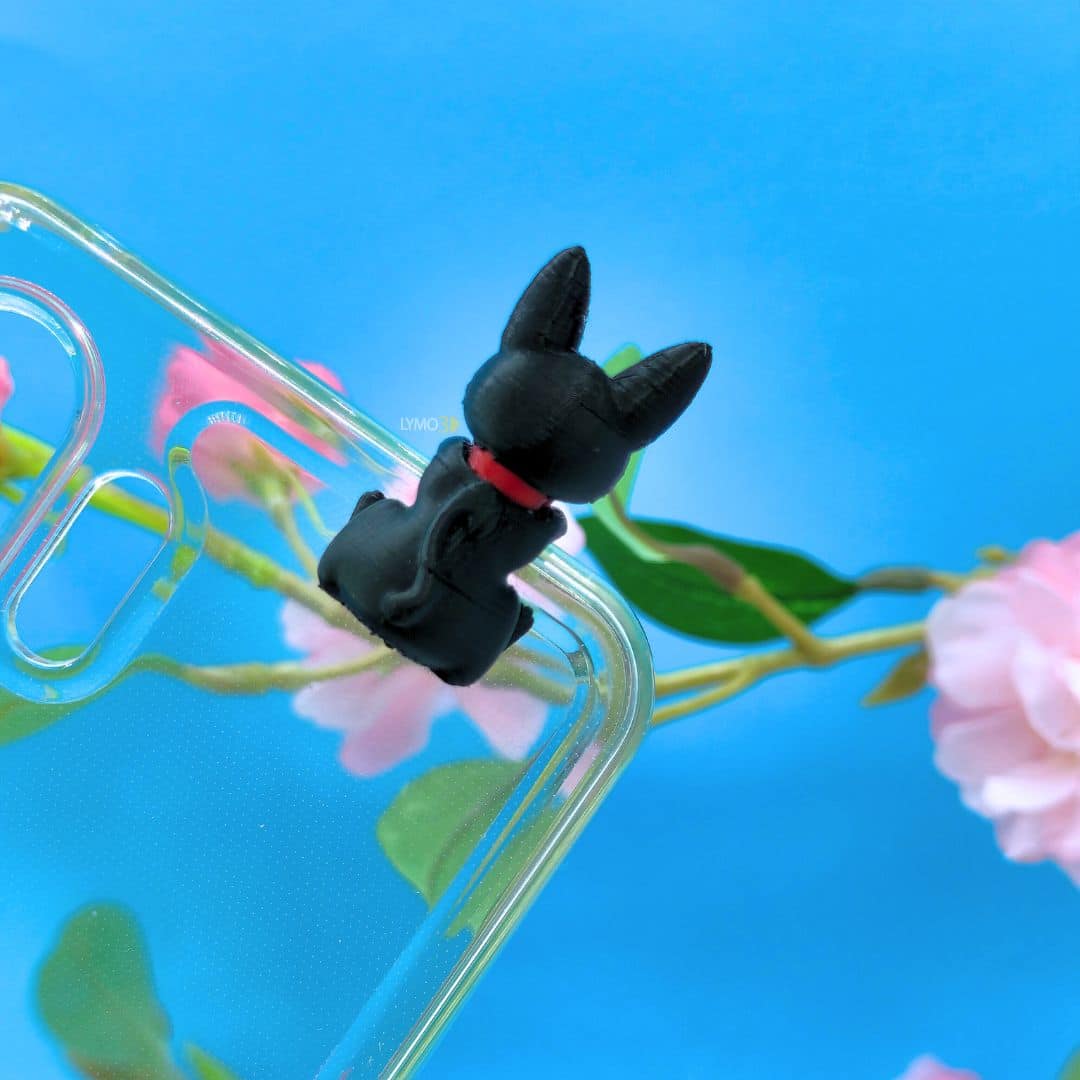 Hyper-enchanted messenger cat