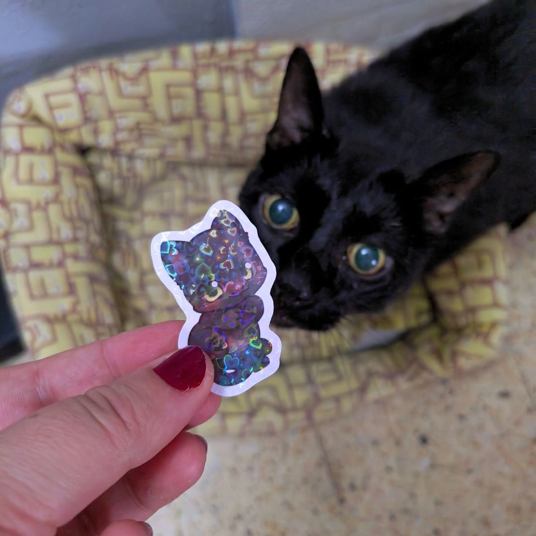 Solidarity Stickers for Pelusón