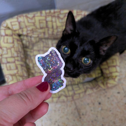 Solidarity Stickers for Pelusón