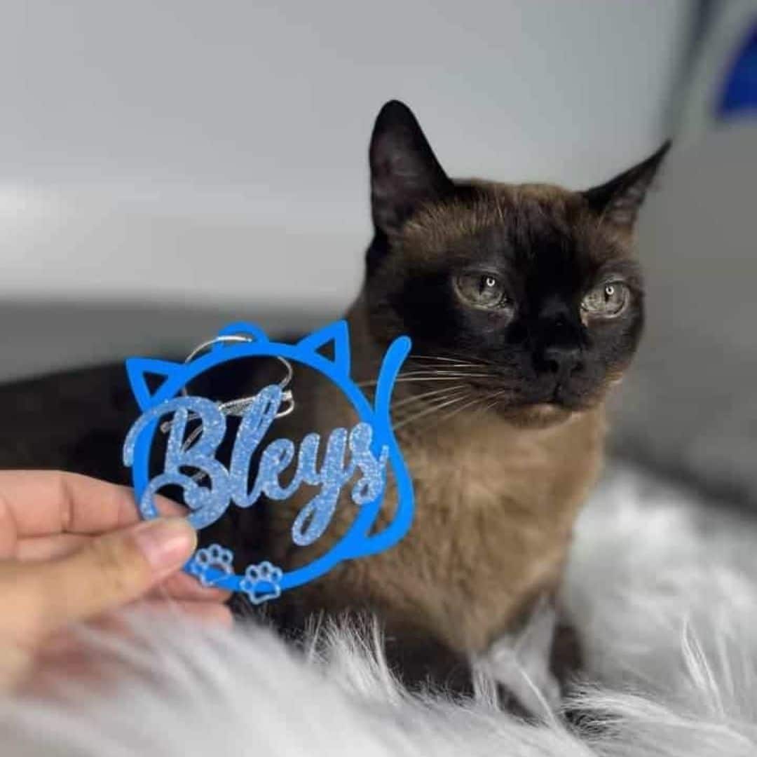 Bolas 3D: Forma de Gato (personalizables)
