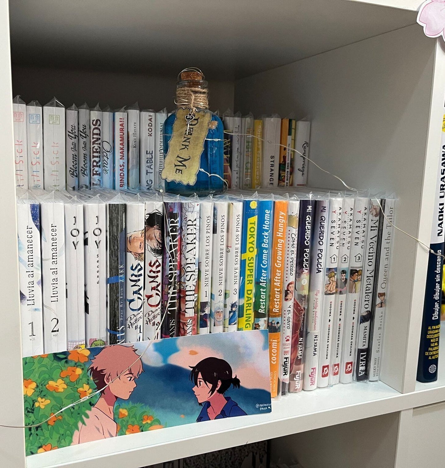 estanteria kallax umaru x lymo3d (2)