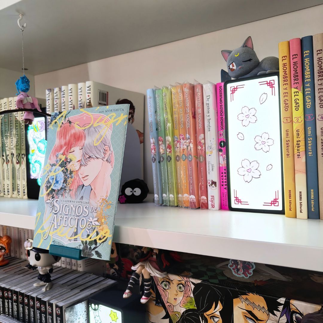 Expositor frontal para mangas