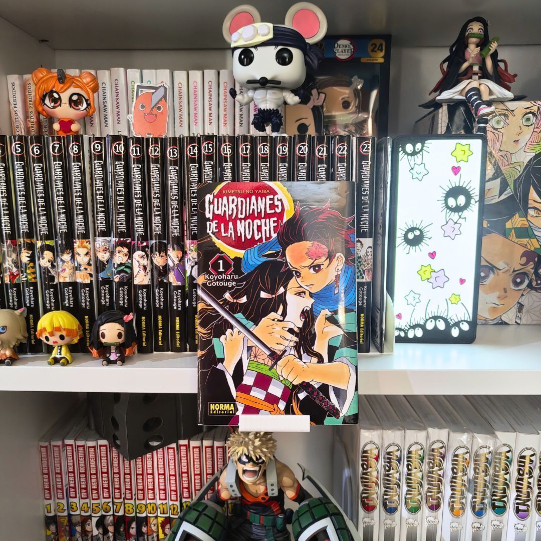 Expositor frontal para mangas