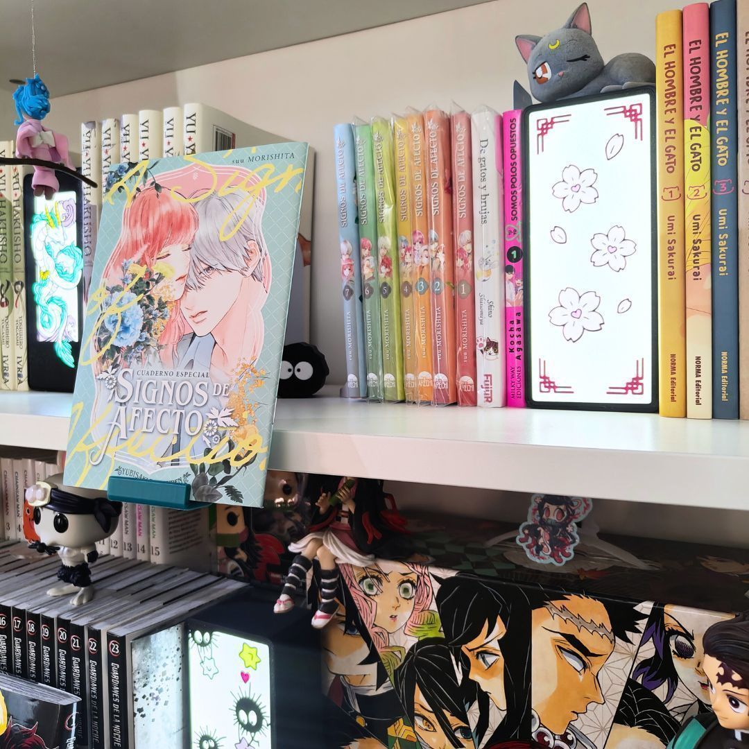 Expositor frontal para mangas