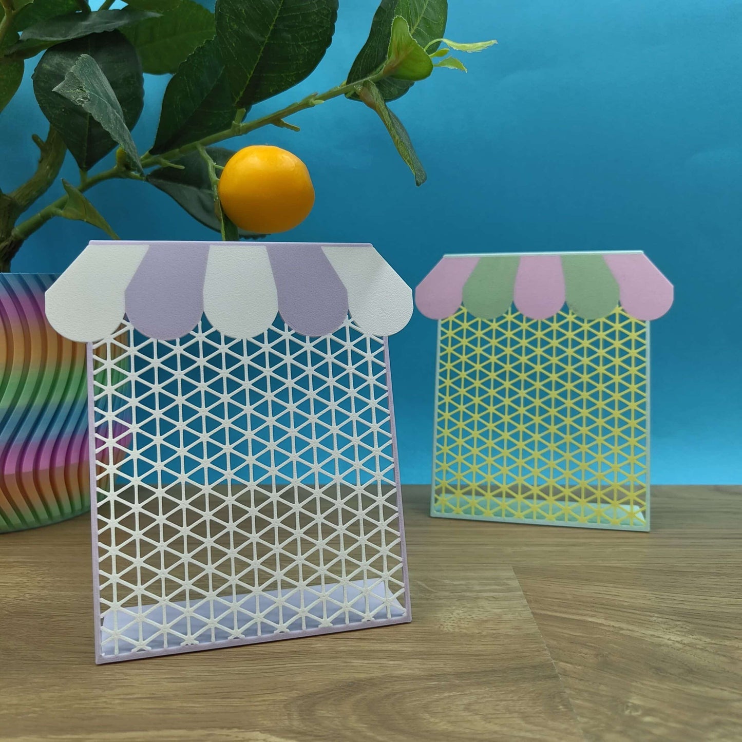 Soporte con Toldo para Pendientes y Pines